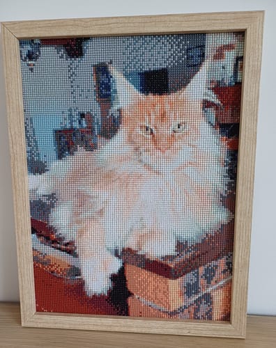 Customer photo review of Broderie Diamant Club™ Kit Personnalisé