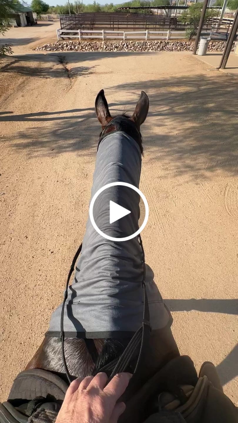 Customer video review of Luxury Horse Cooling Rug