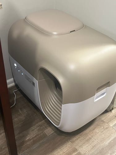 Customer photo review of Self-Cleaning Litter Box