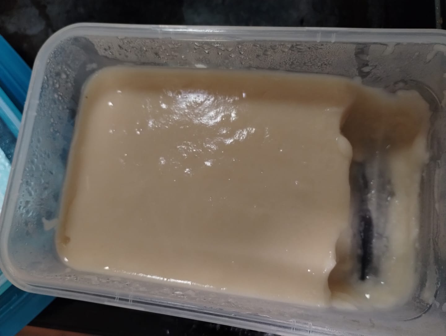 Customer photo review of RAW SEA MOSS