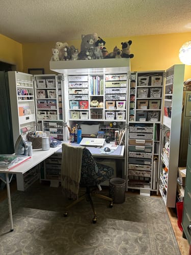 Customer photo review of Deluxe Crown w/ Double Light