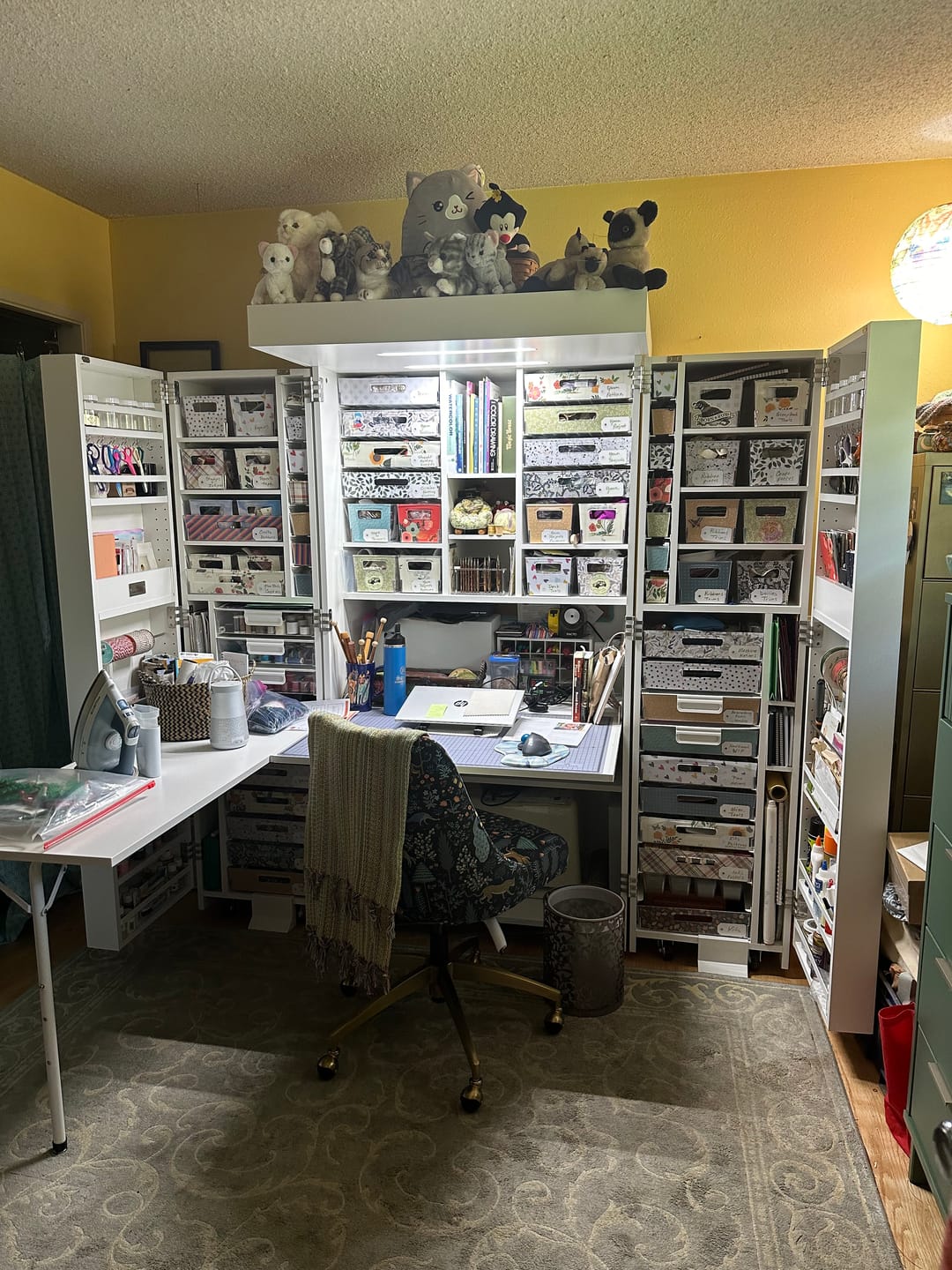 Customer photo review of Deluxe Crown w/ Double Light
