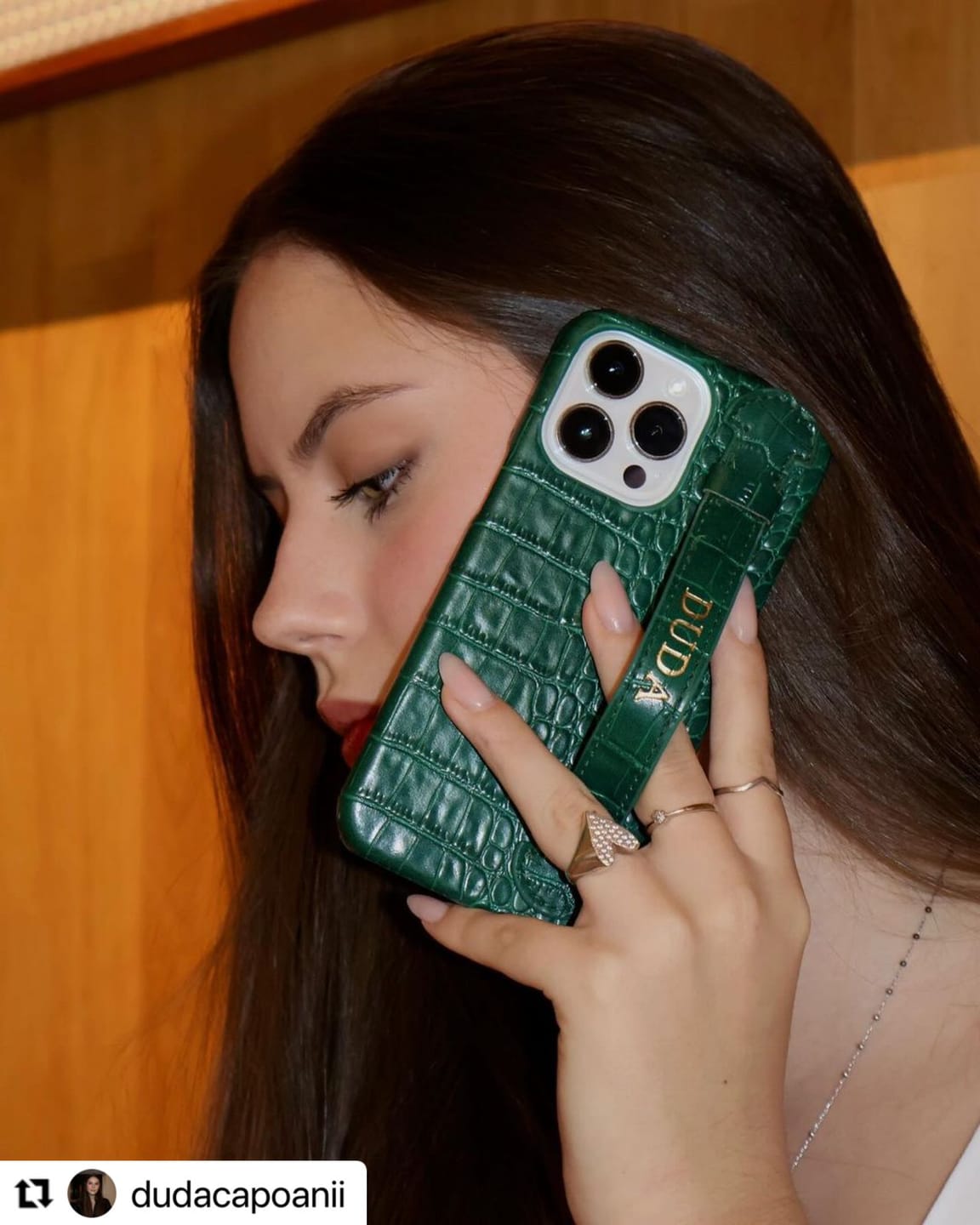 Customer photo review of Case Support Crocodile