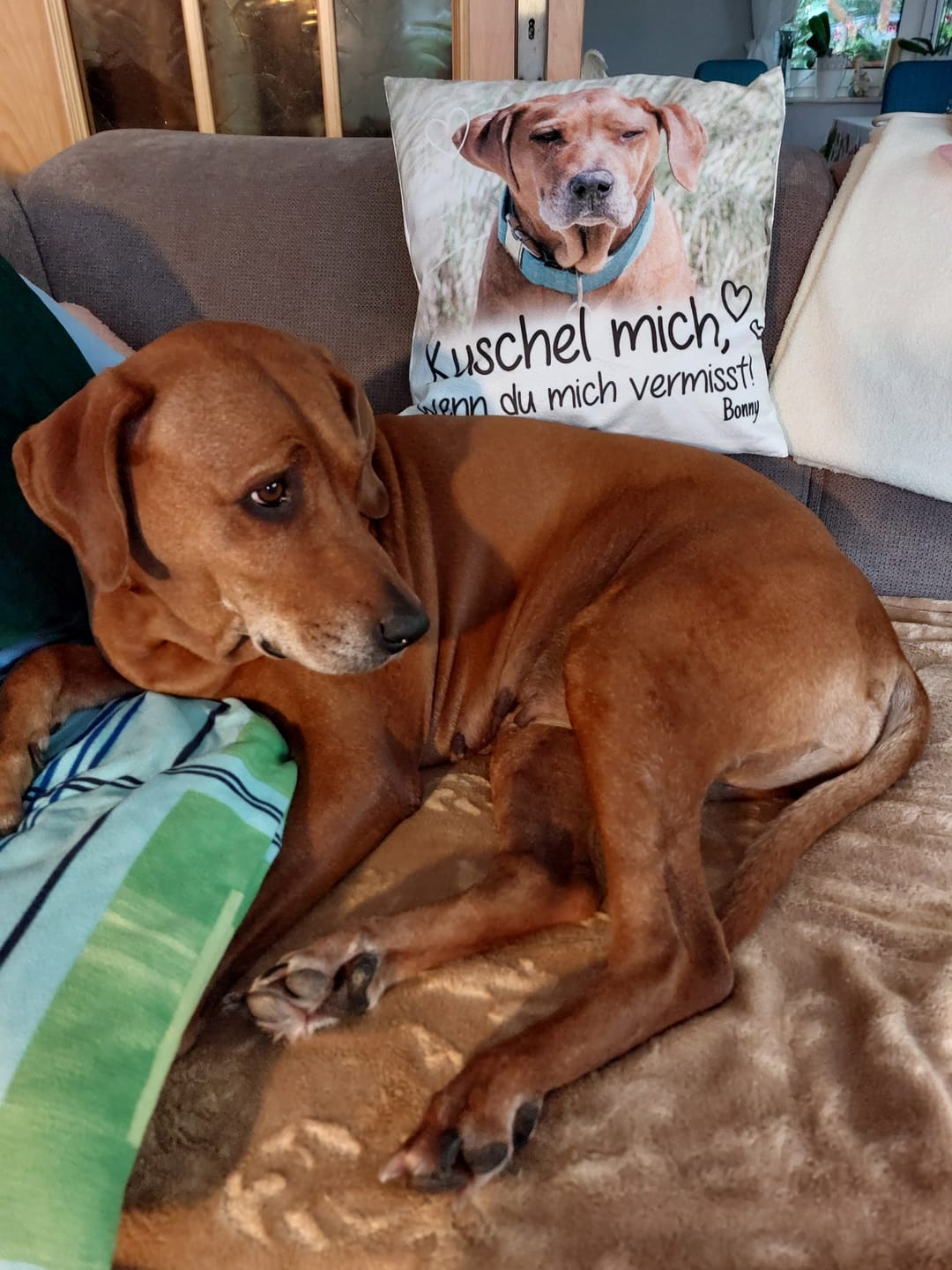Customer photo review of Kuschel mich, wenn du mich vermisst - Individuelles Kissen