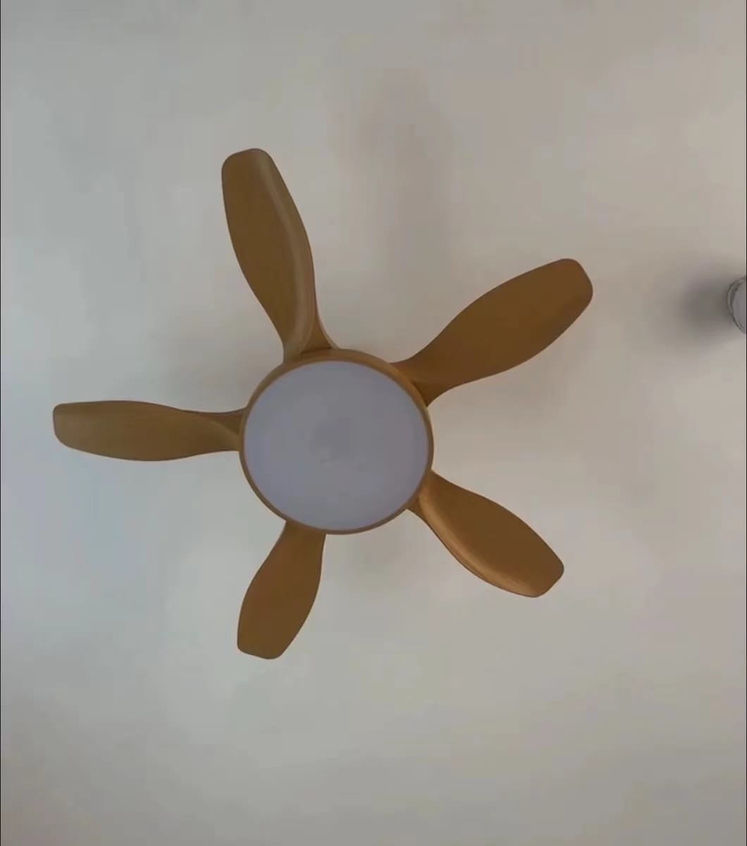 Customer photo review of WOMO Scandi Reversible Ceiling Fan with Light-WM5002