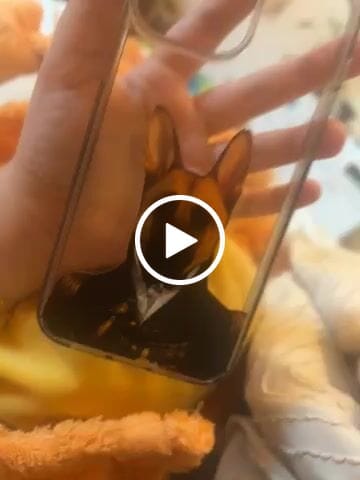 Customer video review of The Prince Custom Pet Portrait