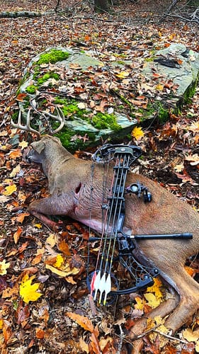 Customer photo review of Beast Broadheads (2-Pack + Practice Tip)
