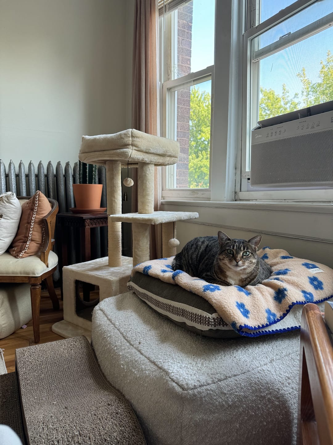 Customer photo review of Little Summer Blanket