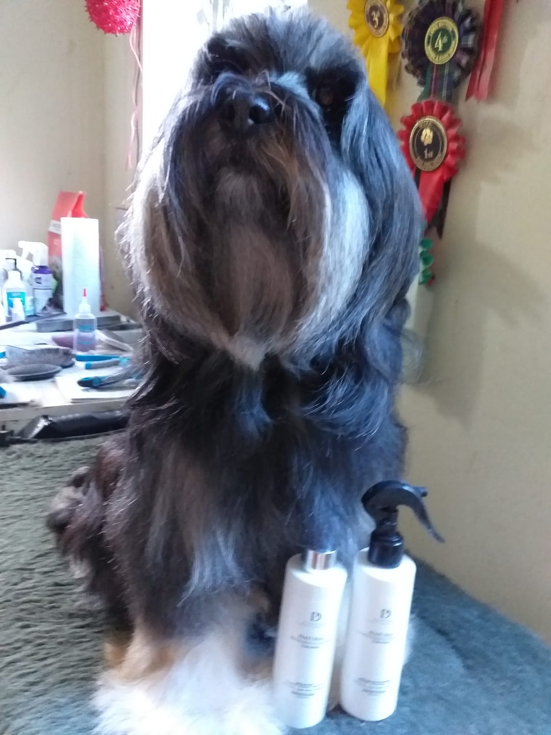 Customer photo review of Natural Refreshing Dog Cologne