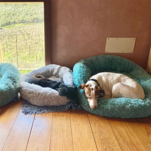 Customer photo review of Die Pet-Fix Wolke7 Premium-Schlafoase+
