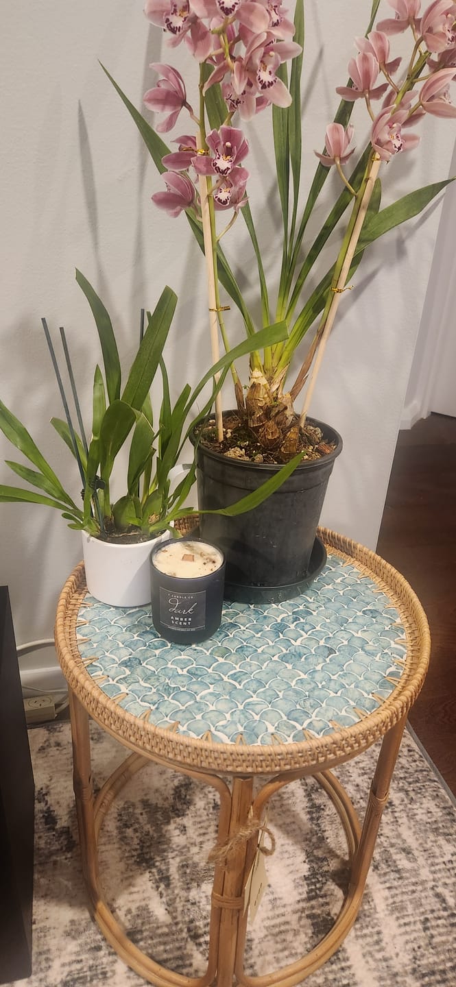 Customer photo review of Sirena Rattan Table