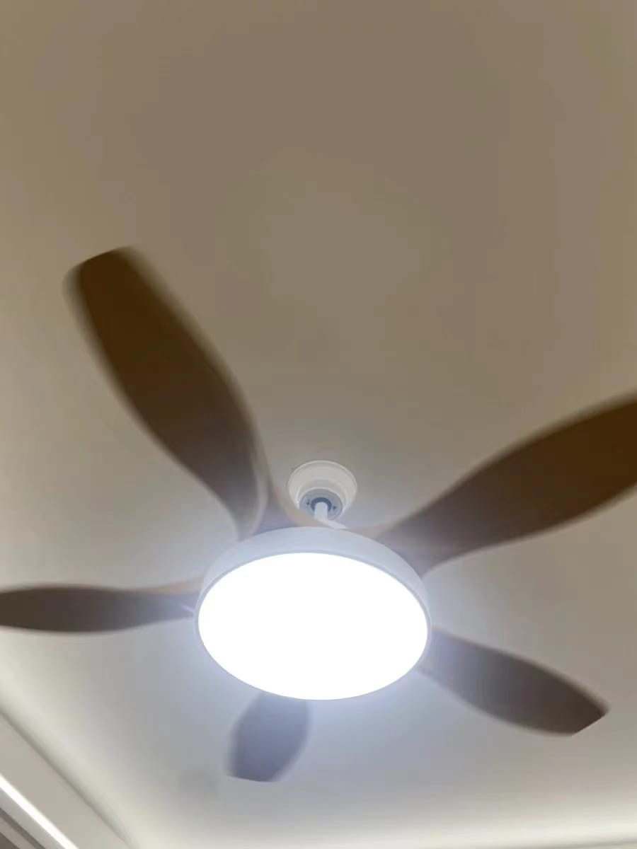 Customer photo review of WOMO Scandi Reversible Ceiling Fan with Light-WM5002