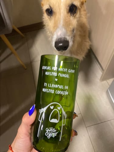 Customer photo review of 🐶 Fundación Quiltro