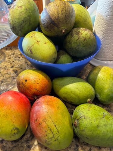 Customer photo review of 28-Day Herbal Detox