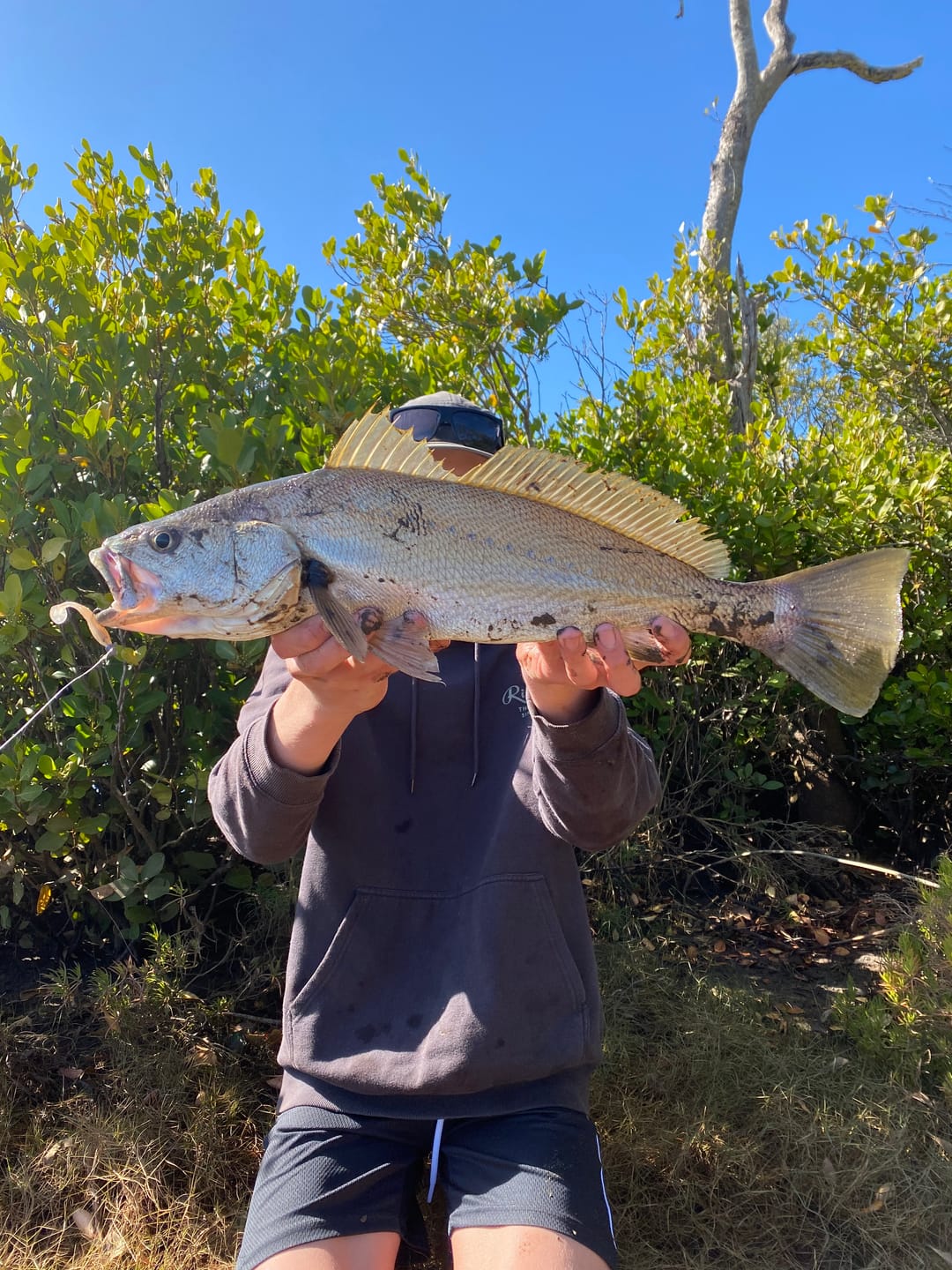 Customer photo review of GUPPIE SHAD - 2.25"