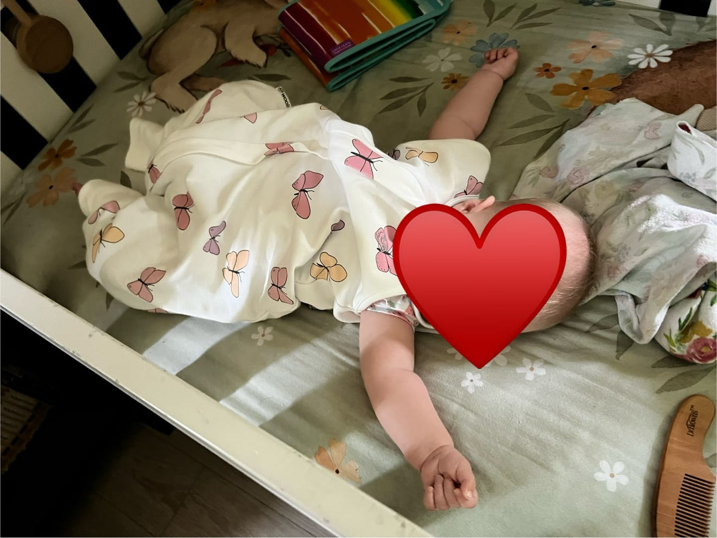 Customer photo review of 4 Season® Baby Sleep Bag with Feet, Merino Wool & Organic Cotton, Butterfly