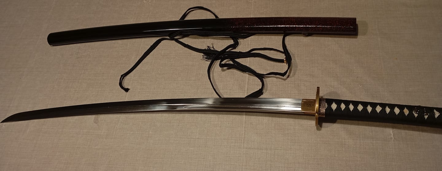 Customer photo review of The Surudoi Handmade Katana Extra Sharp Spring Steel Unokubi-Zukuri