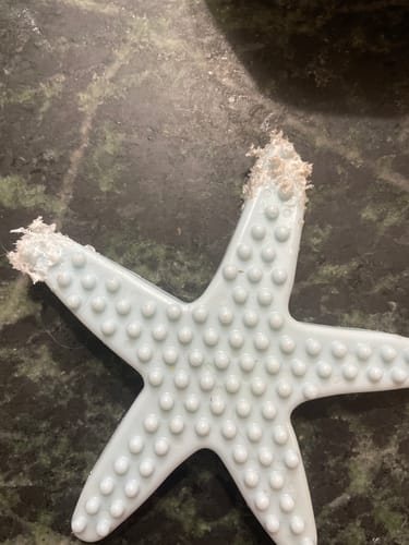 Customer photo review of Clean Earth Hard Chews - 100% Sustainable - USA Made