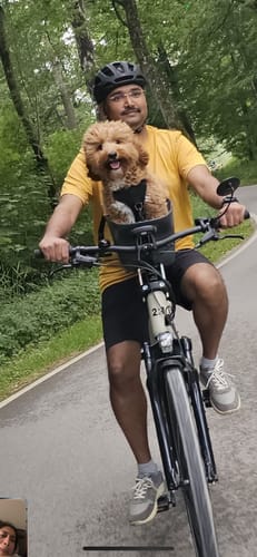 Customer photo review of Kvisp Dog Bike Carrier