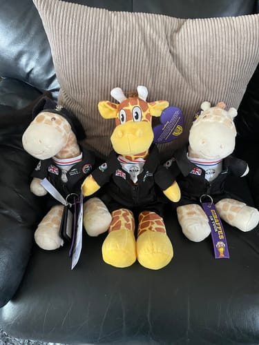 Kim review of BBMF Suit for 9in Bear image 1 out of 1