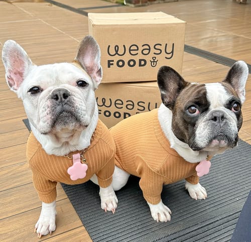 Customer photo review of Weasy Food