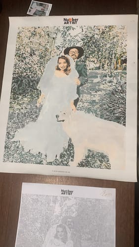 Customer photo review of Custom Paint by Numbers Kit