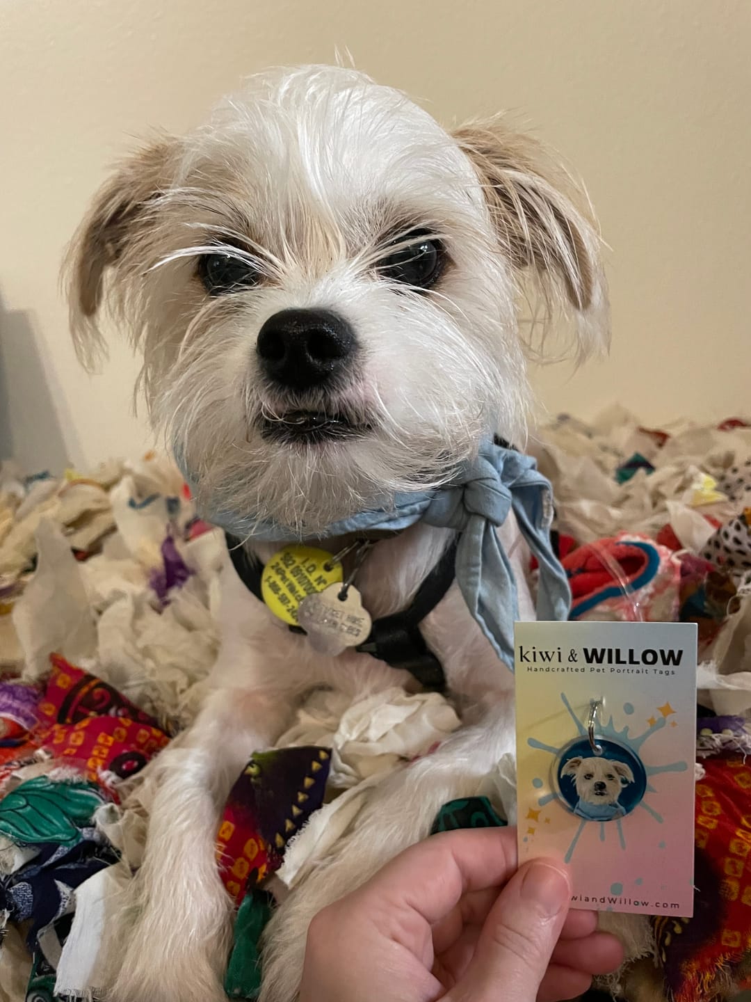 Customer photo review of Custom Pet Charms