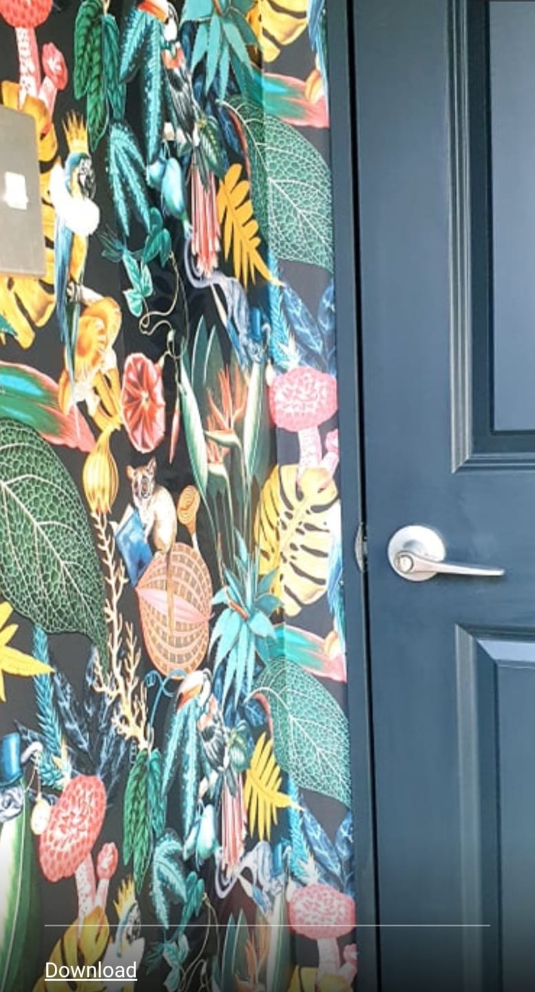 Customer photo review of Reverie - Funky Jungle Wallpaper - Charcoal/Black