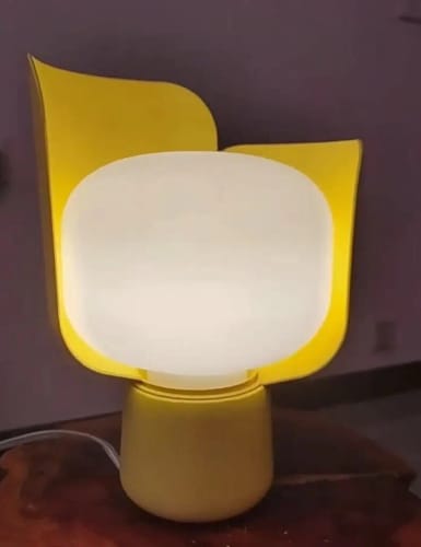 Customer photo review of Lampe de chevet Design - FUNKY