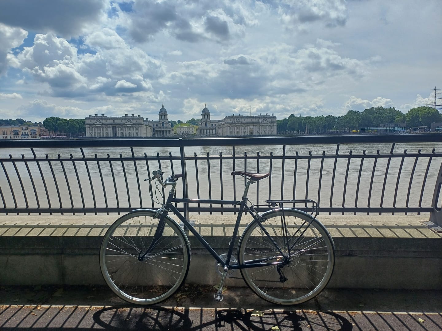 Customer photo review of Temple Alloy Mudguards