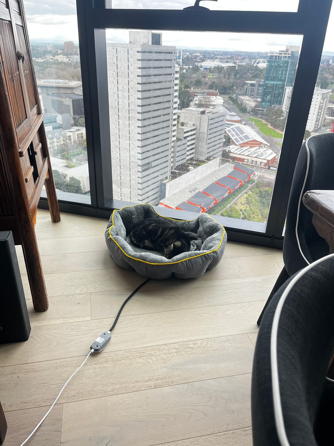 Customer photo review of PaWz Electric Pet Heater Bed Thermal Protection