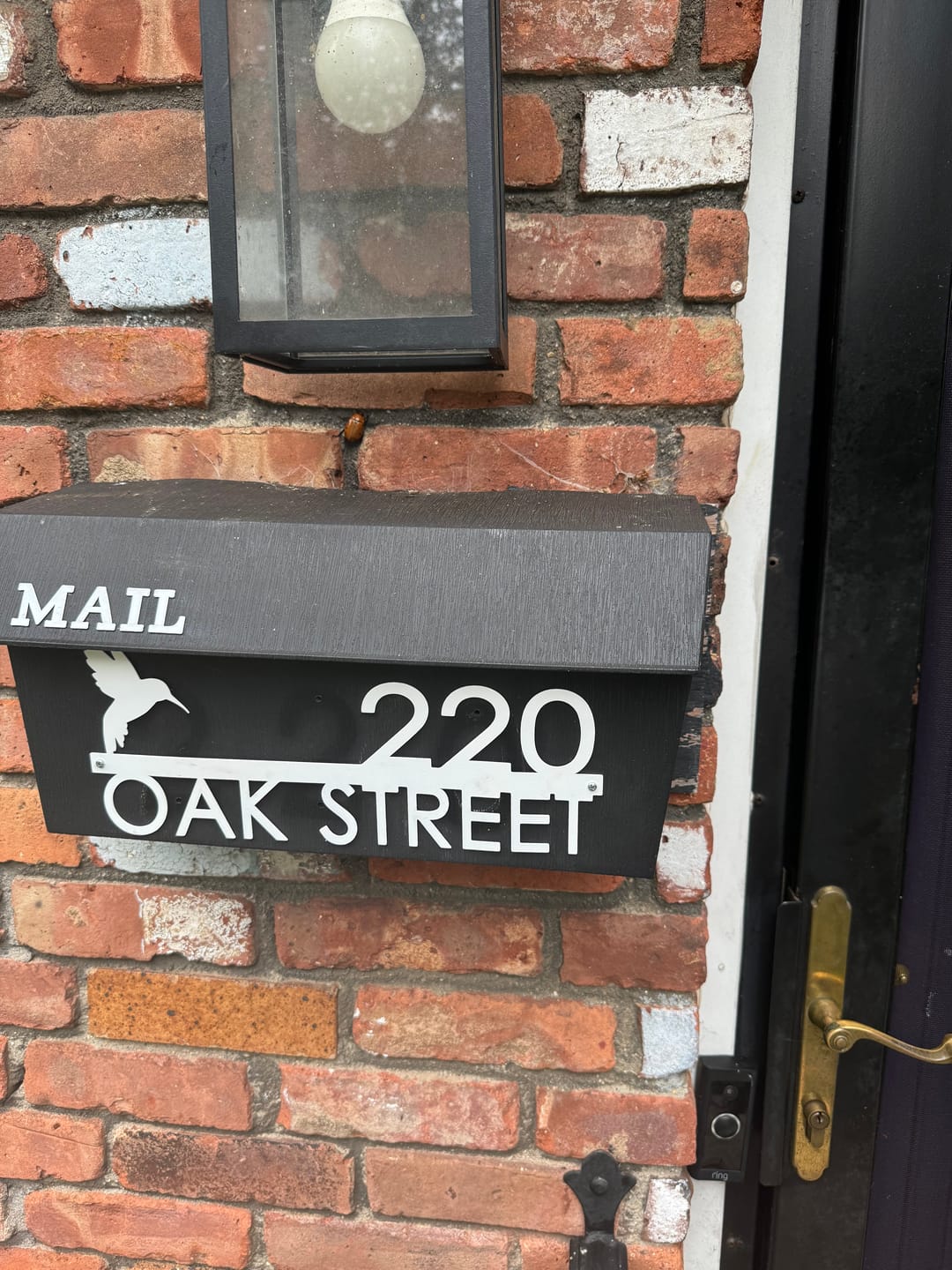 Customer photo review of Modern Outdoor House Numbers - 9 Styles - Personalized Address Signs for House