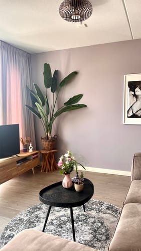 Customer photo review of 10 liter Frans Boomschors