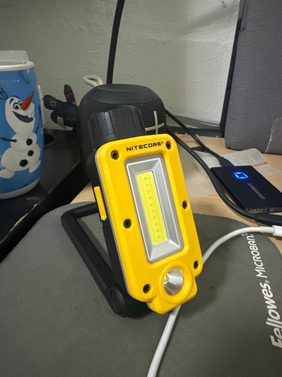 Customer photo review of NWL20 - 600 lumens