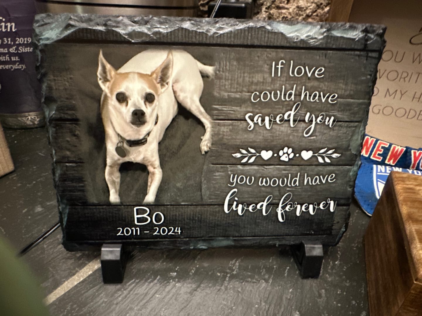 Customer photo review of Personalized Dog Memorial   If Love Could Have Saved You  Personalized Picture Keepsake