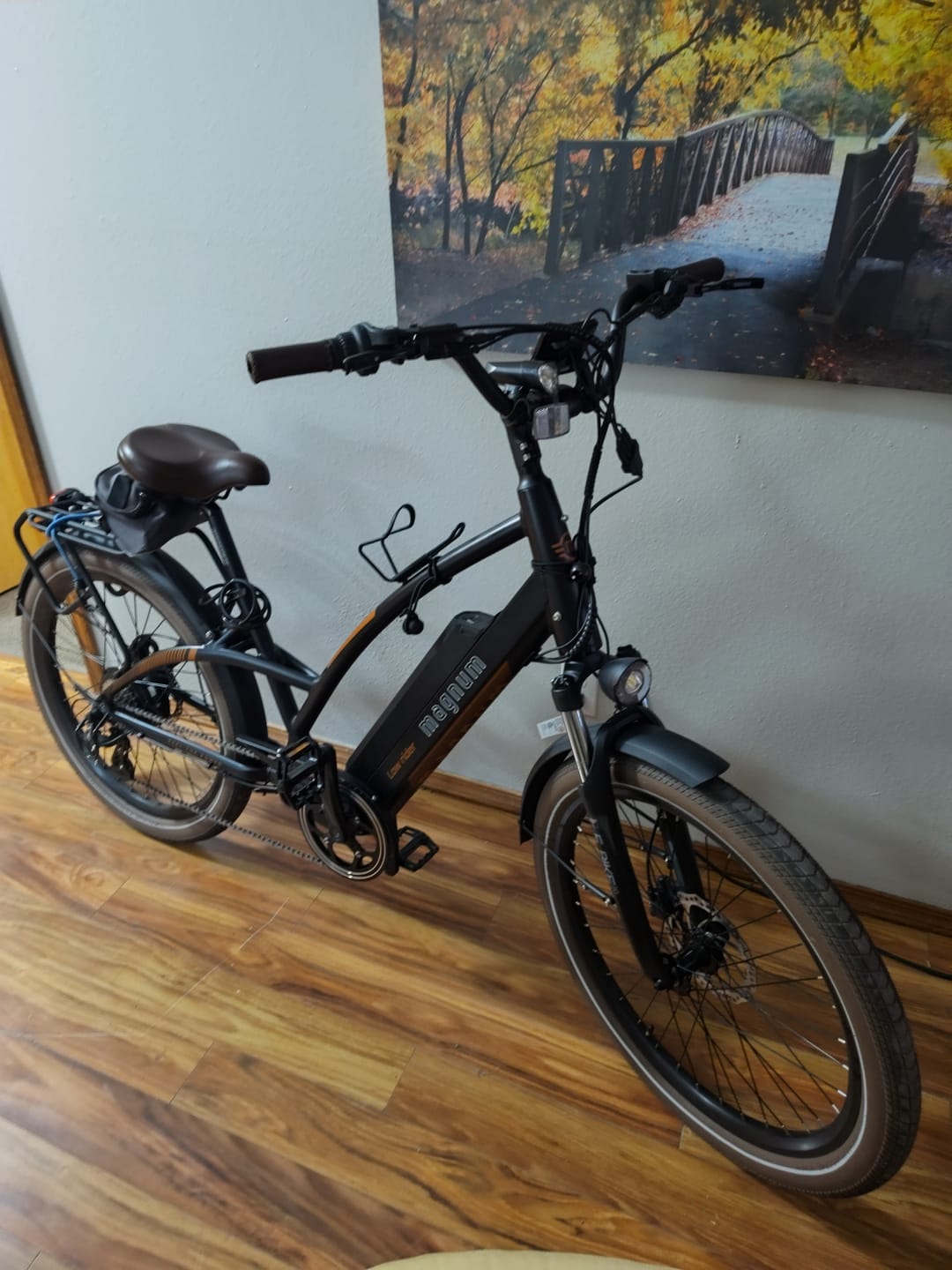 Customer photo review of Low Rider 2.0
