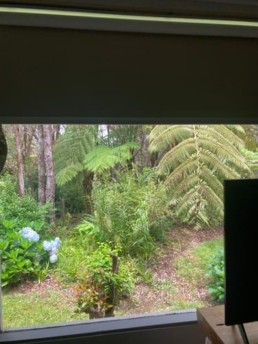 Customer photo review of SmartWings Motorized Roller Shades 100% Blackout Linen
