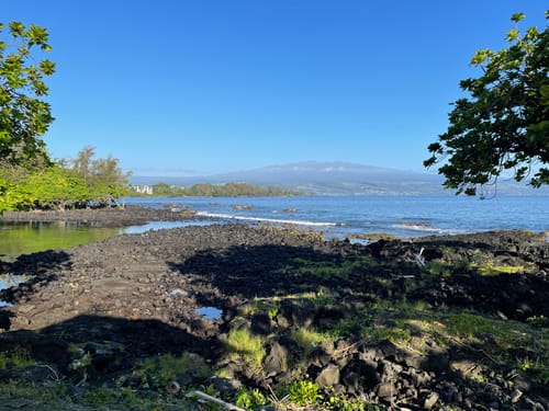 Customer photo review of 1 to 60 Year Beach Themed Specialty AA Recovery Medallion - Tri-Plated Chip/Coin