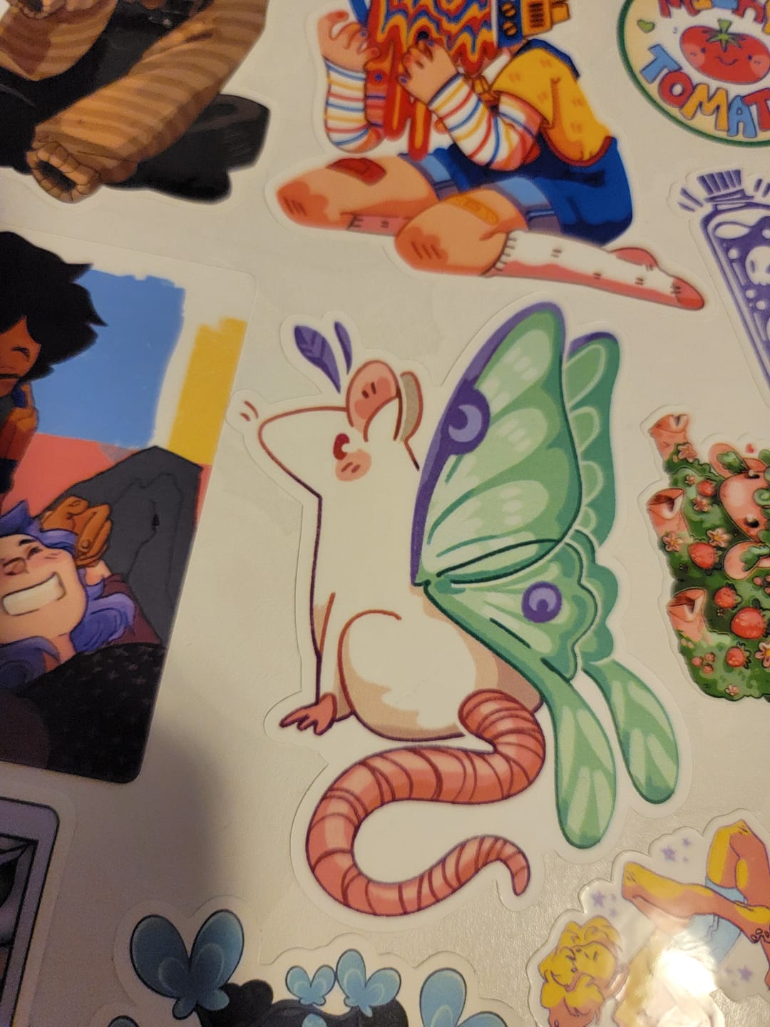 Customer photo review of Mothrat Stickers