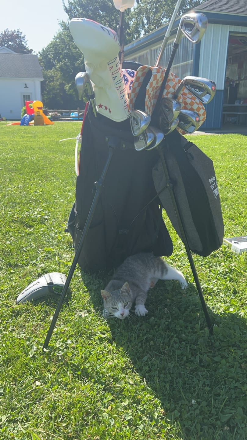 Customer photo review of 3SG - Tri-Star Putter Cover (Blade)