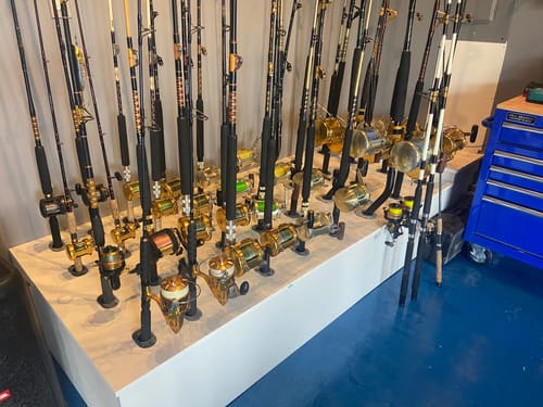 Customer photo review of Open Box PENN International 20VISX Gold