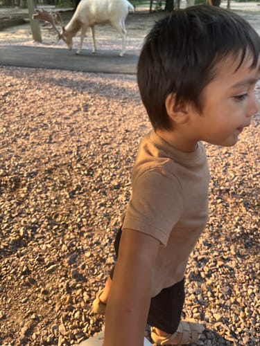 Customer photo review of Baby Girl and Toddler Princess Dress Summer Rainbow Flower Girl Dress Christmas Pageant Dress