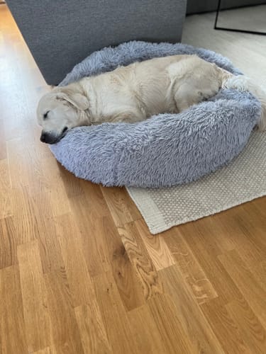 Customer photo review of CalmBed - Motverkar stress & hjälper mot ångest