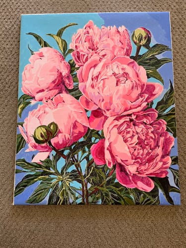 Customer photo review of Pink Peonies - Paint by Numbers