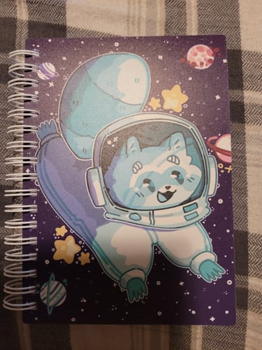 Customer photo review of Teal Space Raccoon Small Reusable Sticker Book