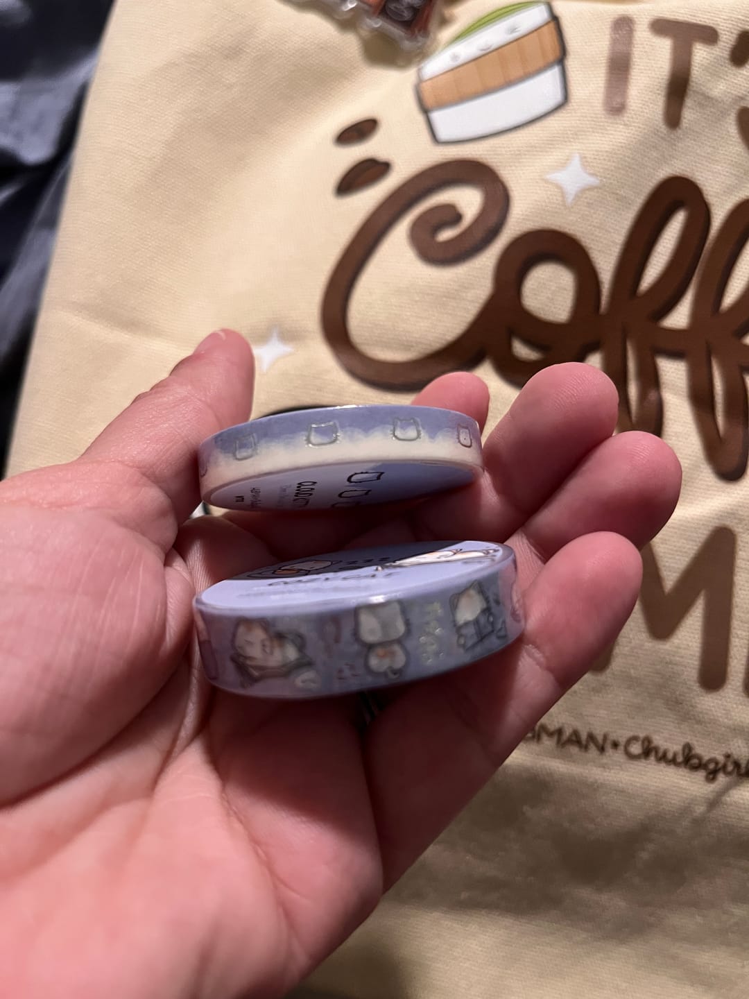 Customer photo review of Cozy Cat Washi Tape (Set of 2)