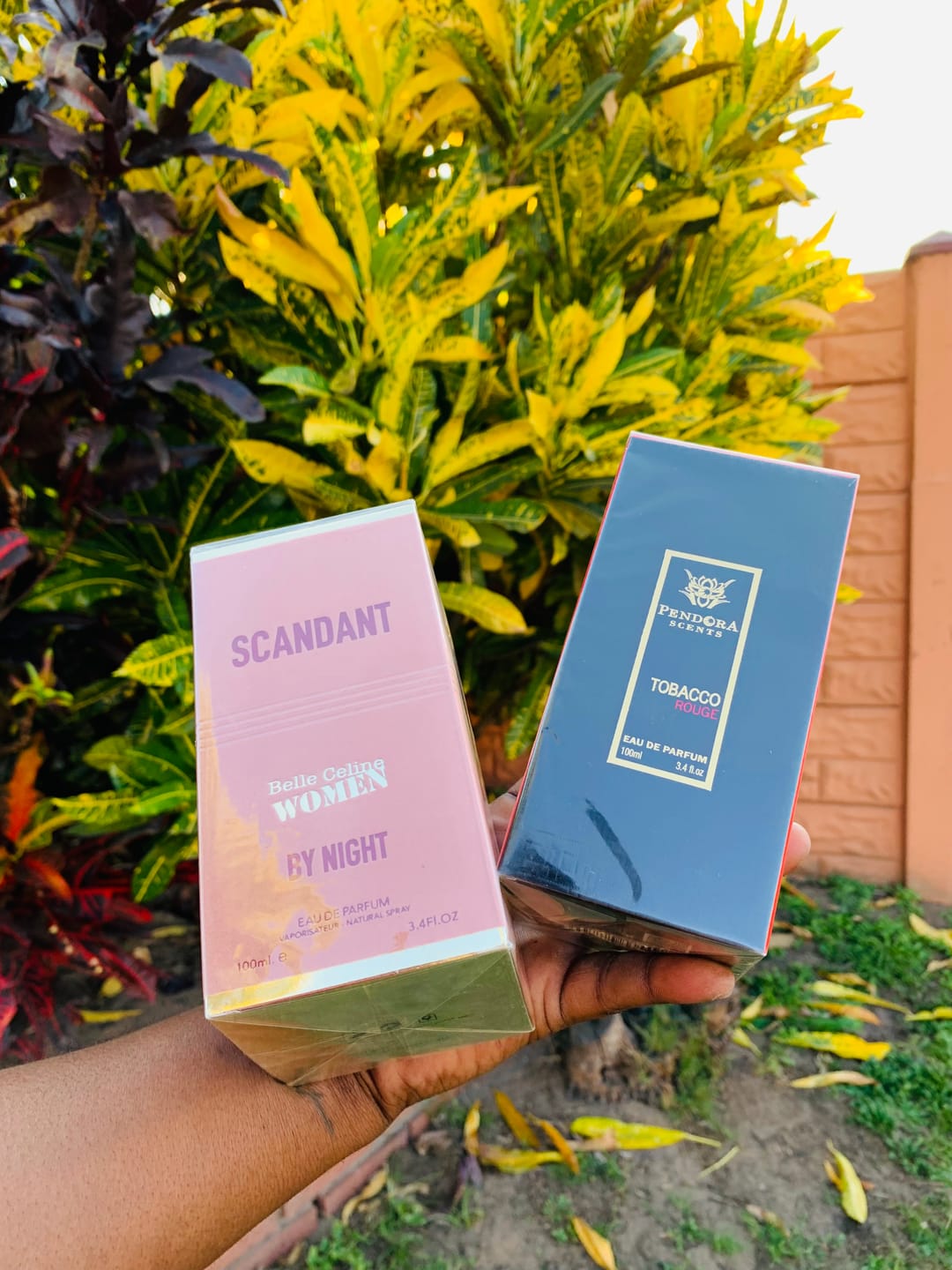 Customer photo review of Scandant By Night edp