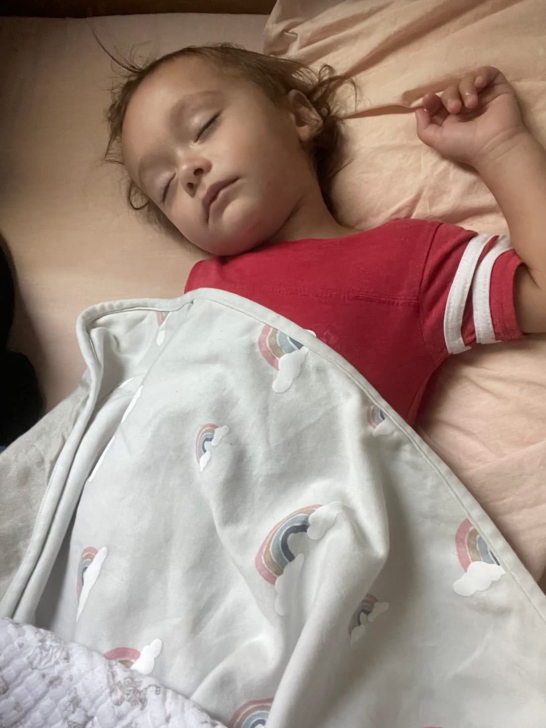 Customer photo review of Toddler Blanket, 4 Season® Merino Wool & Organic Cotton Blanket, 52.5" x 40", Rainbow