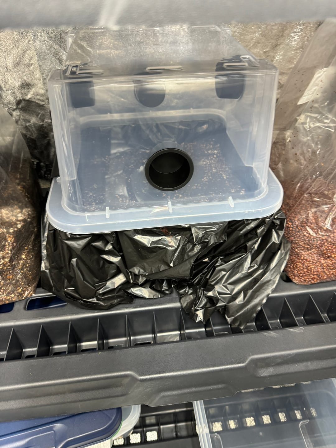 Customer photo review of 'Mark 1' Small Mushroom Monotub