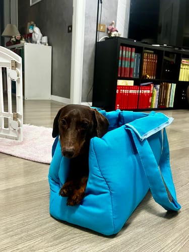 Customer photo review of Trasportino Cotone Siena Turchese